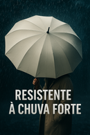 Guarda-chuva SOMBRELLA dobrável, automático, reforçado e à prova de vento