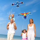 Kit de Mini Pipa com Vara de Pesca - Diversão inteligente para toda a família